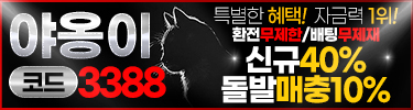 야옹이(토지노)