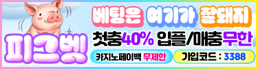 피그벳(토지노)